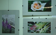 У галереї «Бузок» відкрилася виставка фотографій «Пори року»