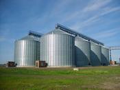 На зернові склади Харківщини надійшло майже 100 тисяч тонн зерна врожаю поточного року