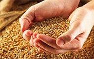 Аграрний фонд з вересня запроваджує форвардні закупівлі зерна врожаю 2015 року