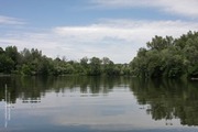 Якість води в річці Сіверський Донець оцінюється експертами як стабільна, без змін