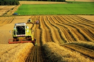 Аграрний сектор України потребує впровадження комплексу заходів, спрямованих на стабільність власного продовольчого ринку. Юлія Світлична
