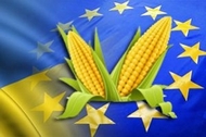 Харківська область реалізує комплекс заходів щодо сприяння виходу продукції вітчизняних товаровиробників на ринки ЄС