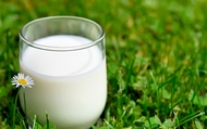 У Харківській області збільшилося виробництво молока