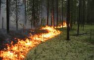 На Харківщині вже почався пожежонебезпечний період
