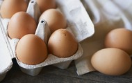 Ціни на яйця в Харківській області поступово знижуються