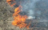 ДСНС України застерігає громадян не провокувати пожежі у екосистемах