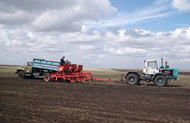 Станом на 29 квітня посів ранніх зернових та зернобобових культур на Харківщині проведено на площі 202 тис. га