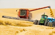 На уборке ранних зерновых в области планируют задействовать более 3 тысяч комбайнов