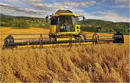 На Харківщині зібрали врожай вже на 5% площ