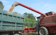Найбільше зерна намолочено у Сахновщинському та Лозівському районах