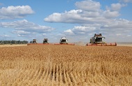 В Харьковской области обмолотили почти половину площадей ранних зерновых