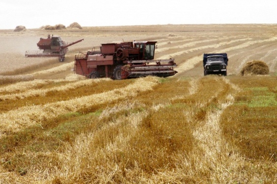 На Харківщині планують завершити збір ранніх зернових вже до кінця цього тижня