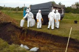 У Нововодолазькому районі вчилися ліквідовувати «спалах захворювання на африканську чуму свиней»