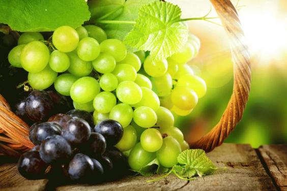 В Чугуєві відбудеться фестиваль виноградарства «Слобожанське гроно»