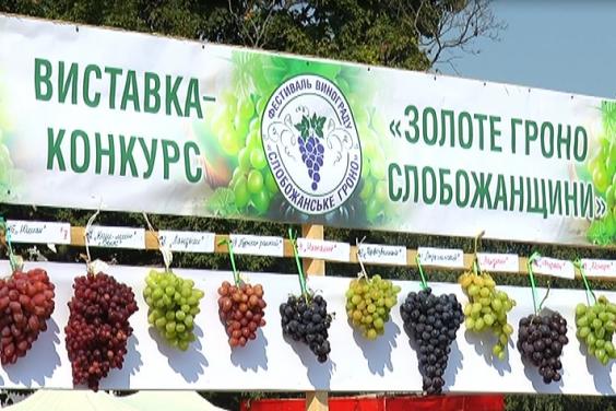 Фестиваль виноградарства в Чугуєві може стати щорічним