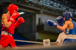 Юні боксери Харківщини – призери чемпіонату України