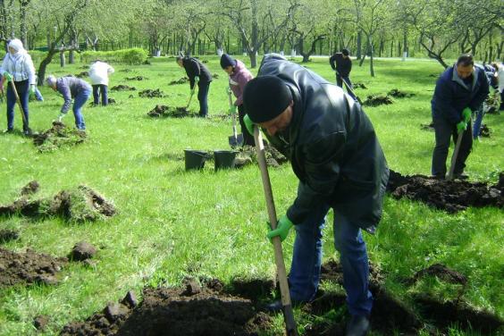 На территории Национального литературно-мемориального музея Сковороды высадили 100 деревьев