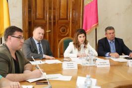 Засідання постійної комісії з питань молодіжної політики, спорту та туризму за участю Михайла Черняка