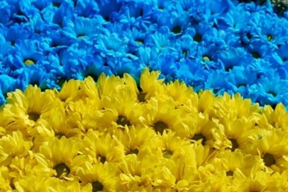 За ініціативи харків'ян встановлять рекорд Гіннеса, склавши найбільший Державний прапор з квітів