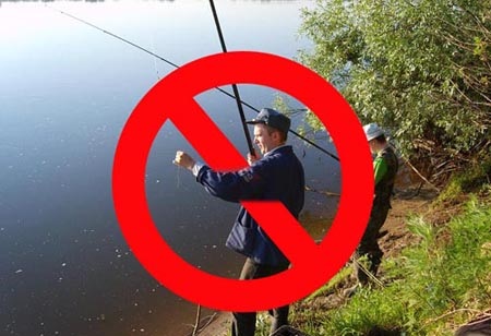 З 1 квітня вводиться заборона на вилов риби