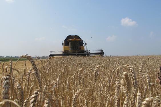 На Харківщині зібрали перший мільйон тонн зерна нового врожаю