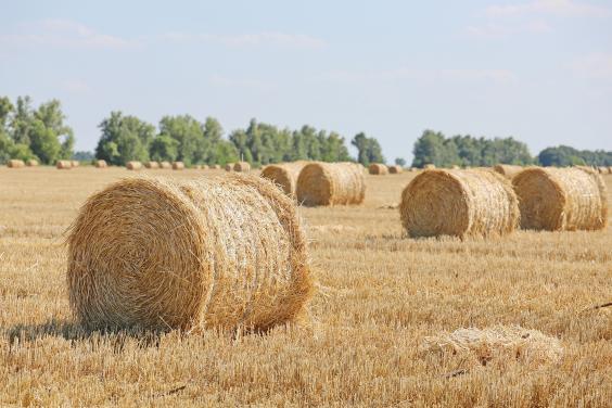На Харьковщине собрали 2 миллиона тонн зерна