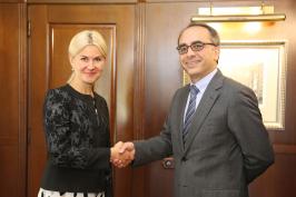 Глава ХОГА провела встречу с Послом Турции в Украине