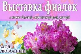 У «Бузку» відкриється виставка фіалок