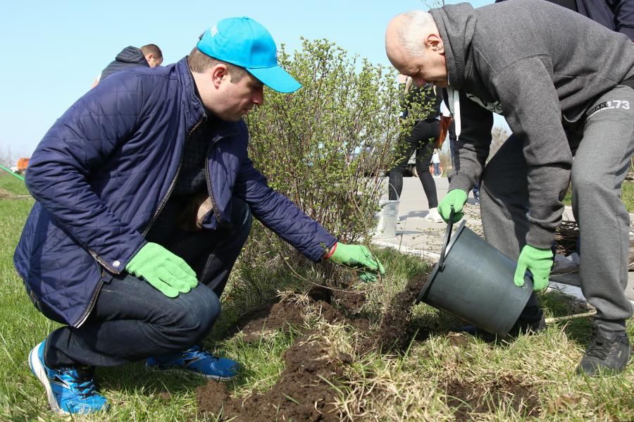 За один день в області ліквідують 700 звалищ і висадять 20 тисяч дерев За один день в області ліквідують 700 звалищ і висадять 20 тисяч дерев