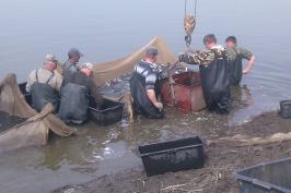 Водойми області зариблюють