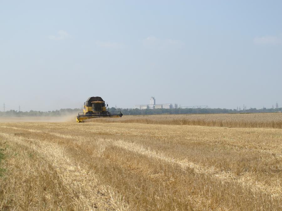 Аграрии Харьковской области намолотили первый миллион тонн зерна нового урожая